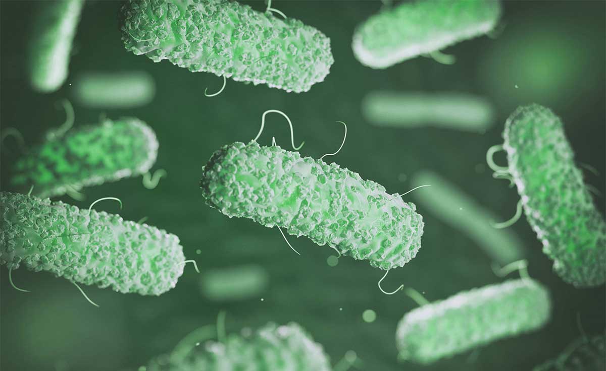 γάγγραινα φουρνιερ