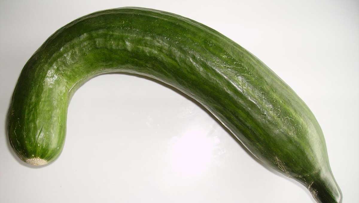 Κάμψη Πέους